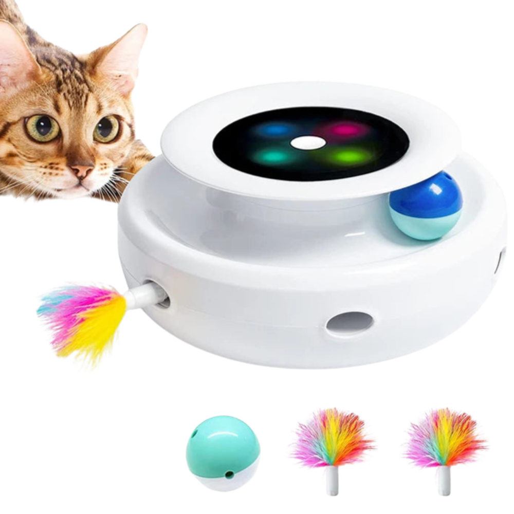 2 in 1 Smart Cat Toy